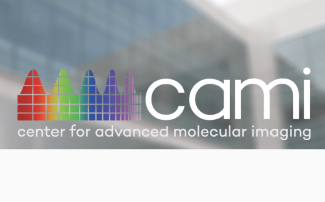 cami logo